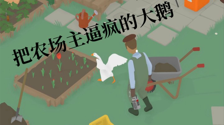 【无名之鹅】我是一只大鹅之恶作剧的开端
