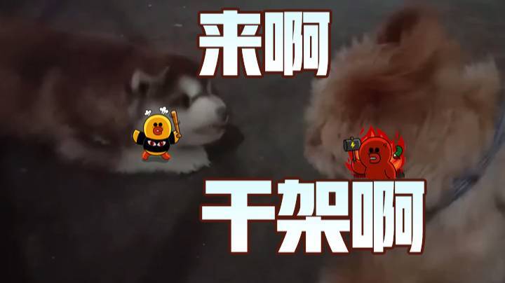 吵架啦