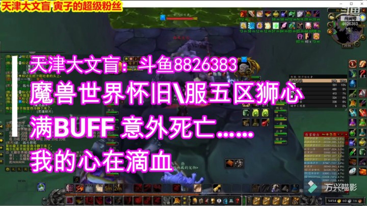 怀旧服NAXX满buff意外死亡……难受香菇