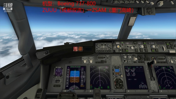 【2021-03-11 16点场】Whxy丶曾冠霖：Xplane11 日常飞航班