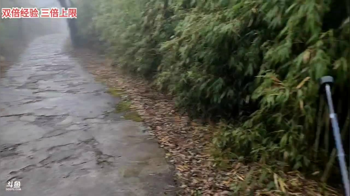 【2021-03-12 14点场】叶子户外：《纪实直播》新疆之旅→绵阳九皇山day4