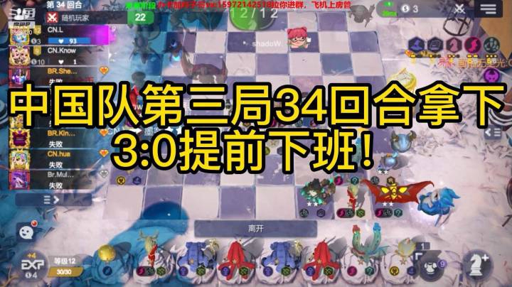 多多自走棋社区世界杯半决赛中国VS巴西比赛第三局