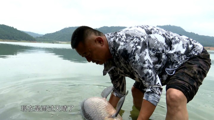 《游钓中国7》第2集 蹲守武功湖数天,巨青连竿一尾又一尾