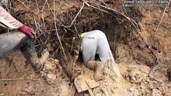 我在斗鱼看胖胖灬直播英雄联盟
