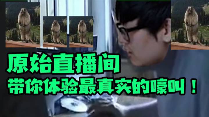 原始直播间，带你体验最真实的嚎叫！