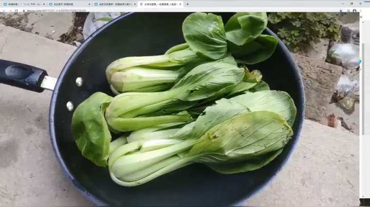 【2021-03-05 12点场】史维佳：刚刚开始了