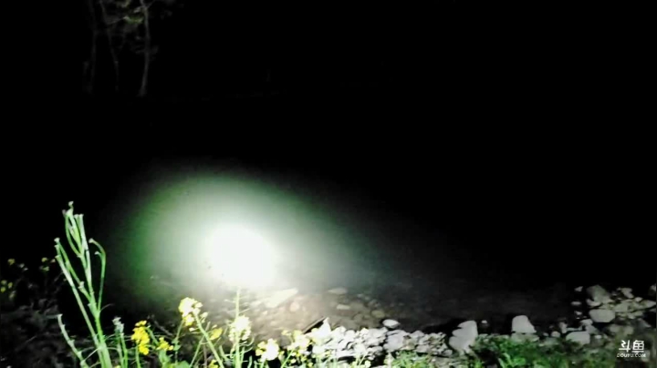 【2021-03-12 19点场】魅力生活i：晚上河道河道