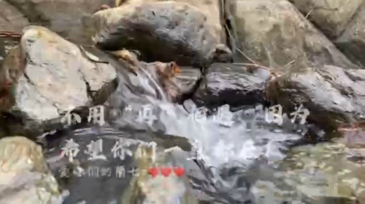 感谢所有参加生日和一直以来支持过蘭七o的你们！！