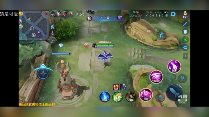 丸子是吃什么长大的
