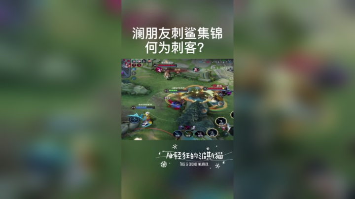 澜：何为刺客？