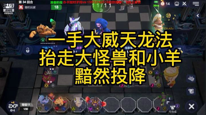 多多自走棋社区世界杯决赛第四场，队友分获567名对子花黯然投降