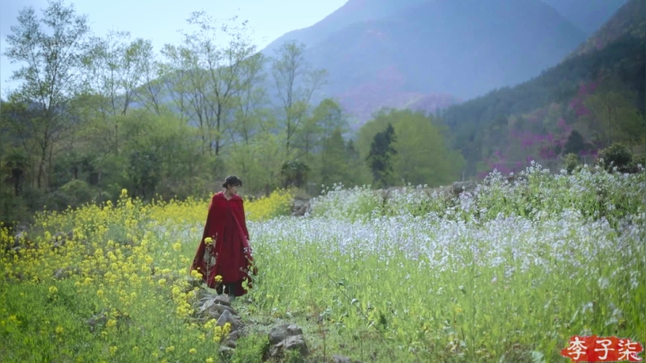 【美食】李子柒liziqi的精彩时刻 20210315 01点场