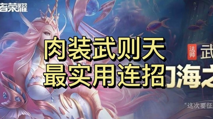 肉装武则天最实用连招