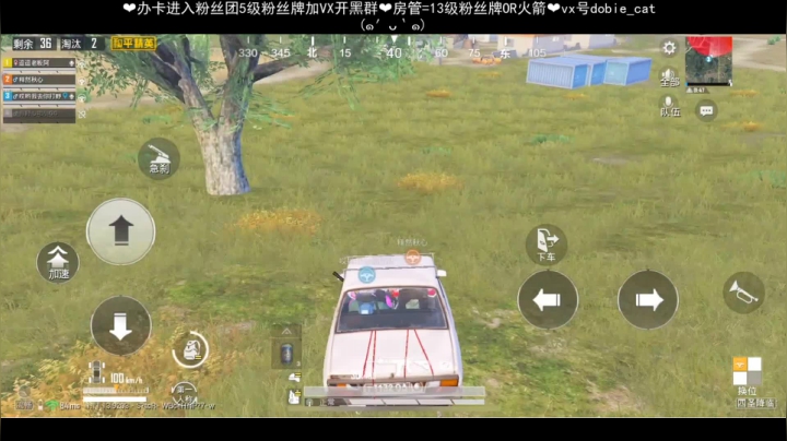 【2021-03-12 17点场】张逗逗就是张老板阿：试试CSGO开箱？？？