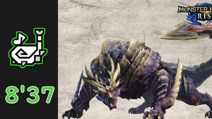 《怪物猎人：崛起》狩猎笛8分37秒速斩“怨虎龙”
