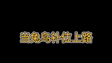 当兔鸟补位上路