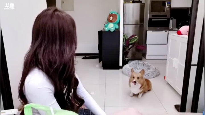 【颜值（横屏）】香菇年丶的精彩时刻 20210317 02点场