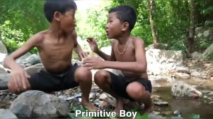 东 南 亚 丛 林 猿 生 态