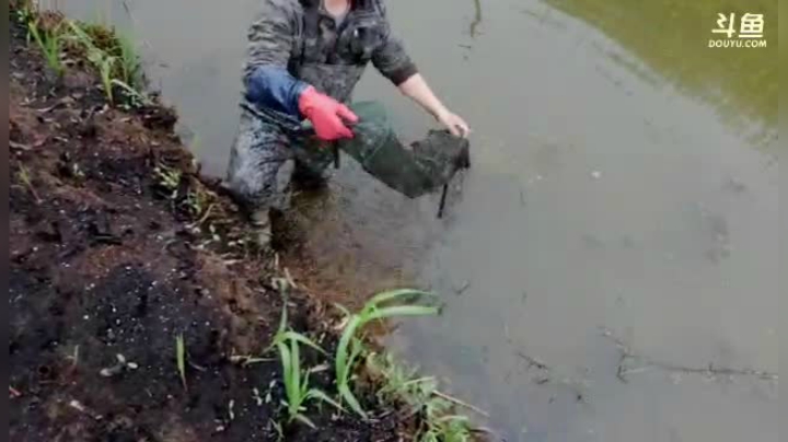 【户外】超哥户外打野的精彩时刻 20210317 08点场