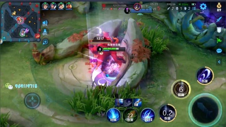 露娜带粉日常110