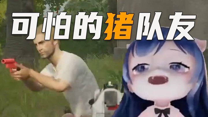 【一条小团团】可怕的猪队友