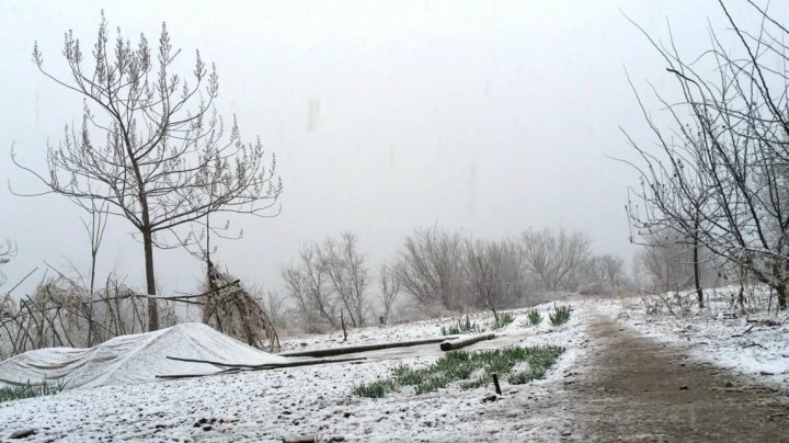 倍速人生之猝不及防的三月雪