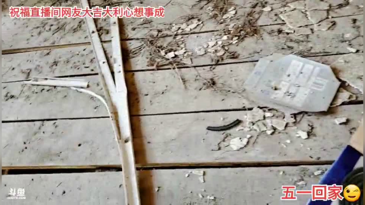 狗强海南
