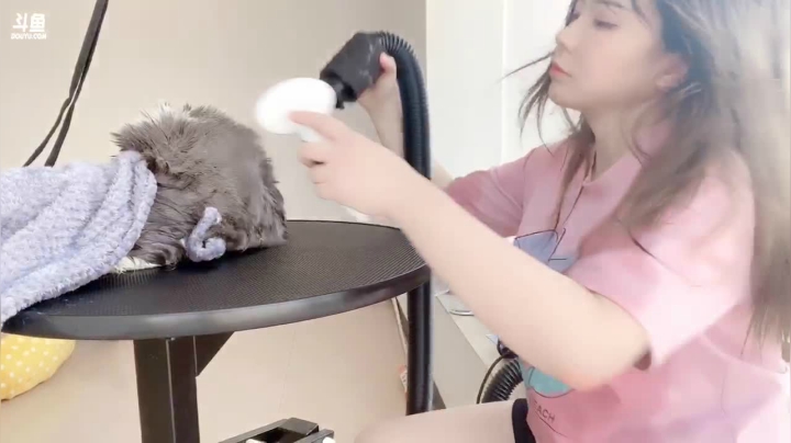 【2021-03-19 15点场】刘飞儿faye：飞儿 猫舍视角，不说话