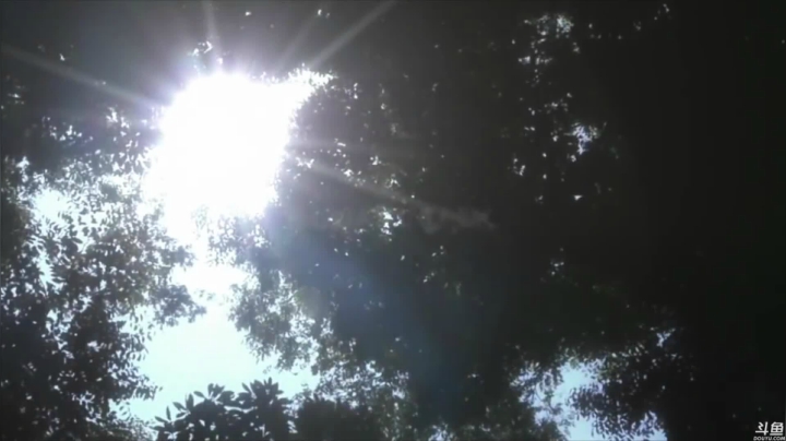 【2021-03-19 20点场】猫叔灬灬：【猫叔】天地劫 幽城幻剑录 公测啦~~