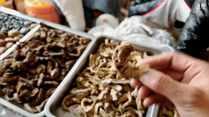 【2021-03-20 14点场】叶子户外：《纪实直播》新疆之旅→松潘县day10