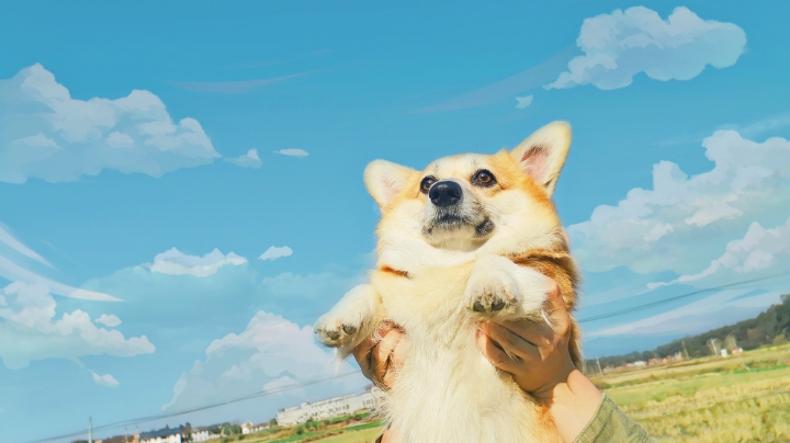 暗术德