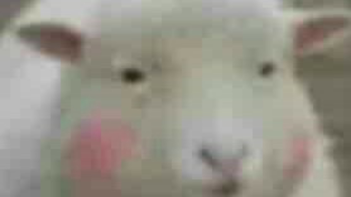 记录