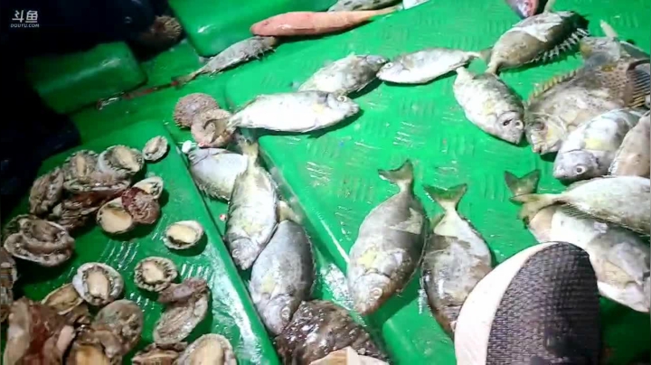 【2021-03-12 22点场】洪湖小肖：洪湖小肖的直播间