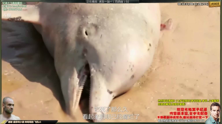 【科普】黑子影视haoyin1234的精彩时刻 20210321 22点场