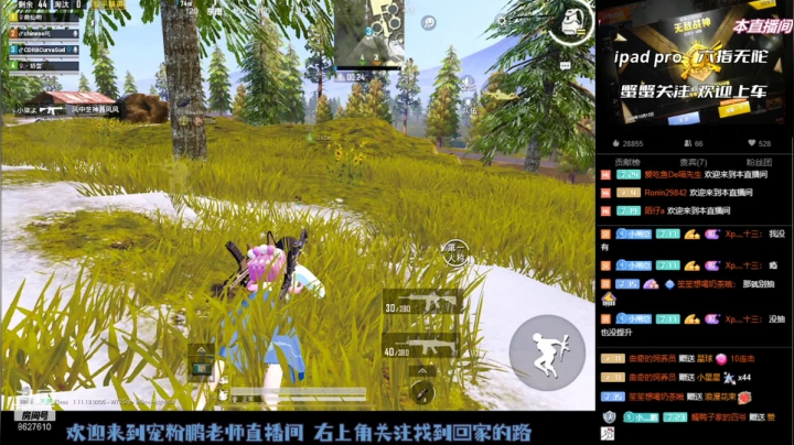 【2021-03-21 12点场】Xp灬小鹏：专心上分 带粉 打号