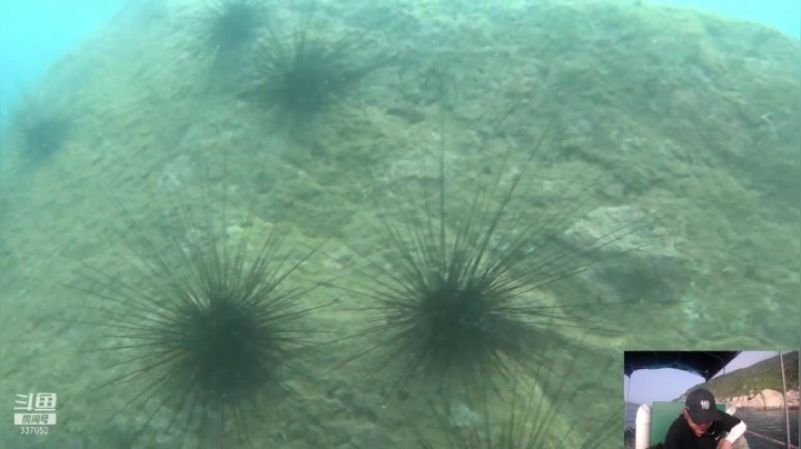 【2021-03-12 16点场】洪湖小肖：洪湖小肖的直播间