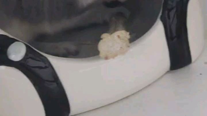 磨牙中，等把你喂到胖到走不动，就不会不让摸了吧