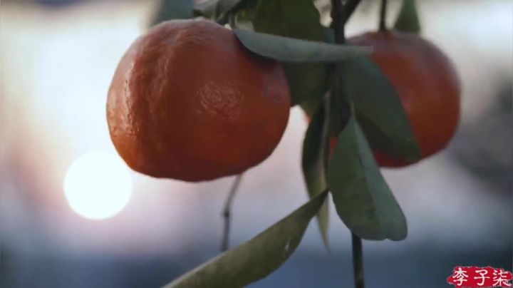 【美食】李子柒liziqi的精彩时刻 20210322 19点场