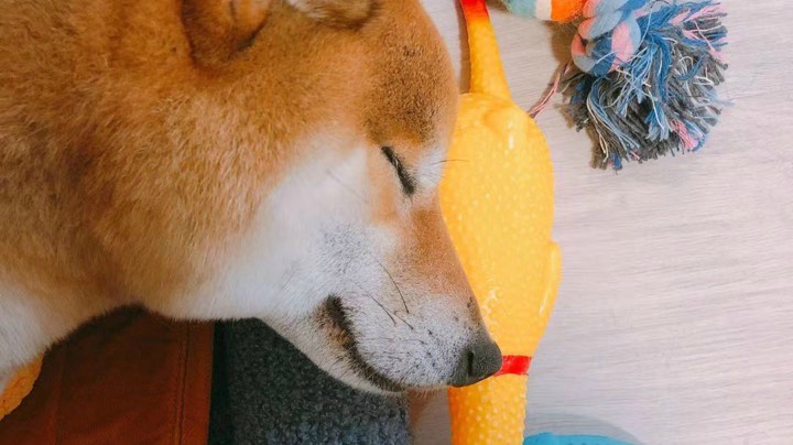 开黑