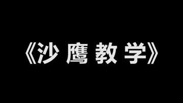 《沙 鹰 教 学》