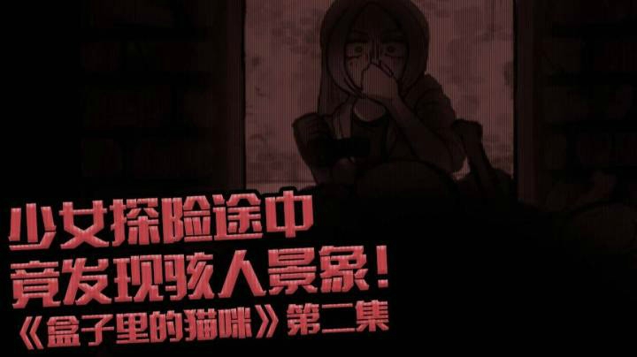 少女UP主被关废弃老屋竟发现骇人景象 盒子里的猫咪