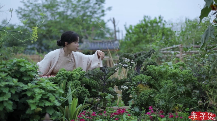 【美食】李子柒liziqi的精彩时刻 20210324 15点场