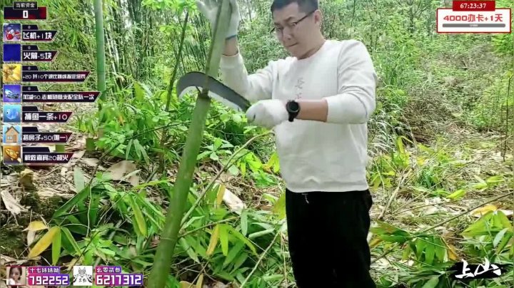 【2021-03-25 13点场】小鱼小鱼吃虾米：假装在山上day1