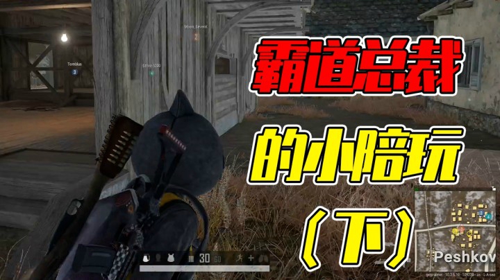 霸道总裁的小陪玩（下）：我是傲娇小鱼儿