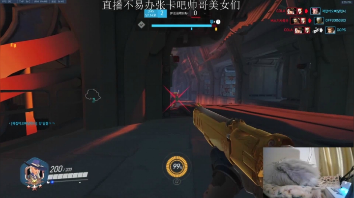 乌鸦艾什亚服冲