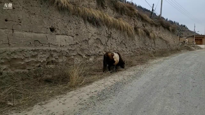 【2021-03-25 16点场】叶子户外：《纪实直播》新疆之旅→穿越洛克之路