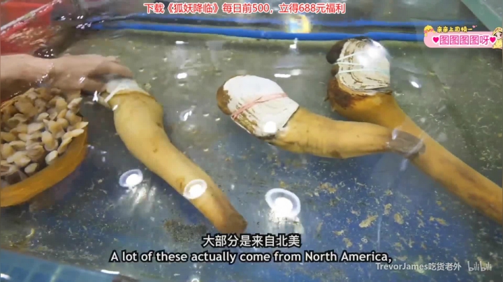 【2021-03-25 05点场】果小果是个弟弟：果小果：每天下午5点开播~