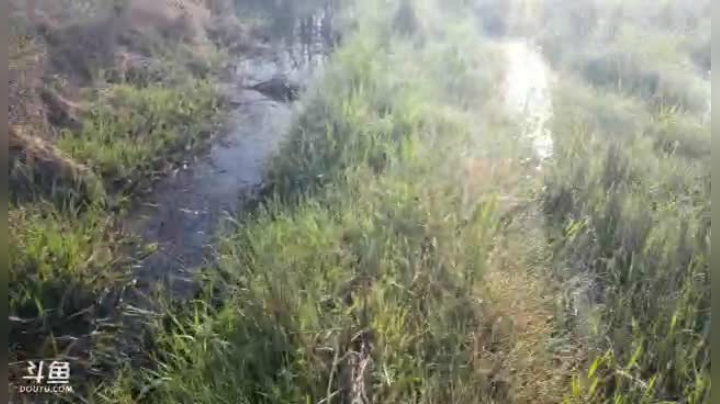 【户外】超哥户外打野的精彩时刻 20210325 08点场