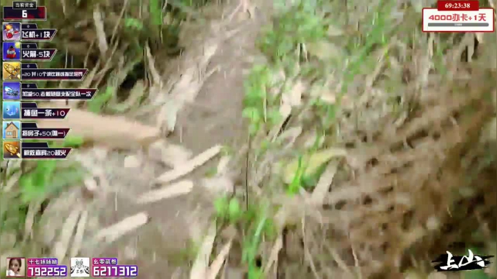 【2021-03-25 11点场】小鱼小鱼吃虾米：假装在山上day1