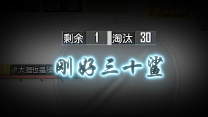 刚好三十鲨